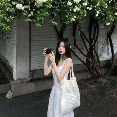 镜狮子